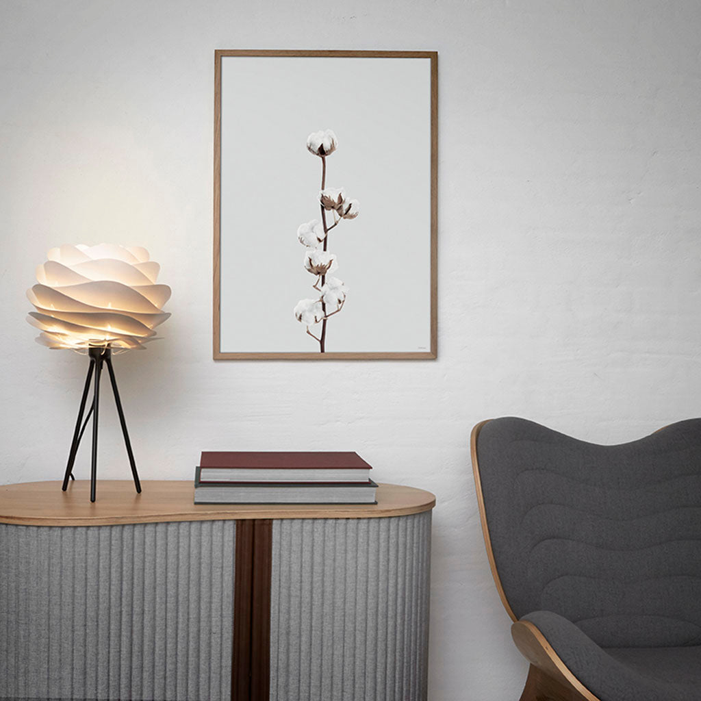 ChiCura Posters Cotton Flower - 50x70cm Posters / Flowers & Plants Multiple Color