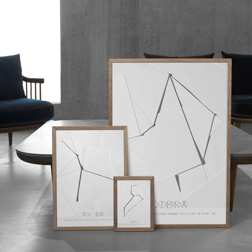 ChiCura Posters Gemini - The Twins - 70x100cm Posters / Zodiac Signs Black / White