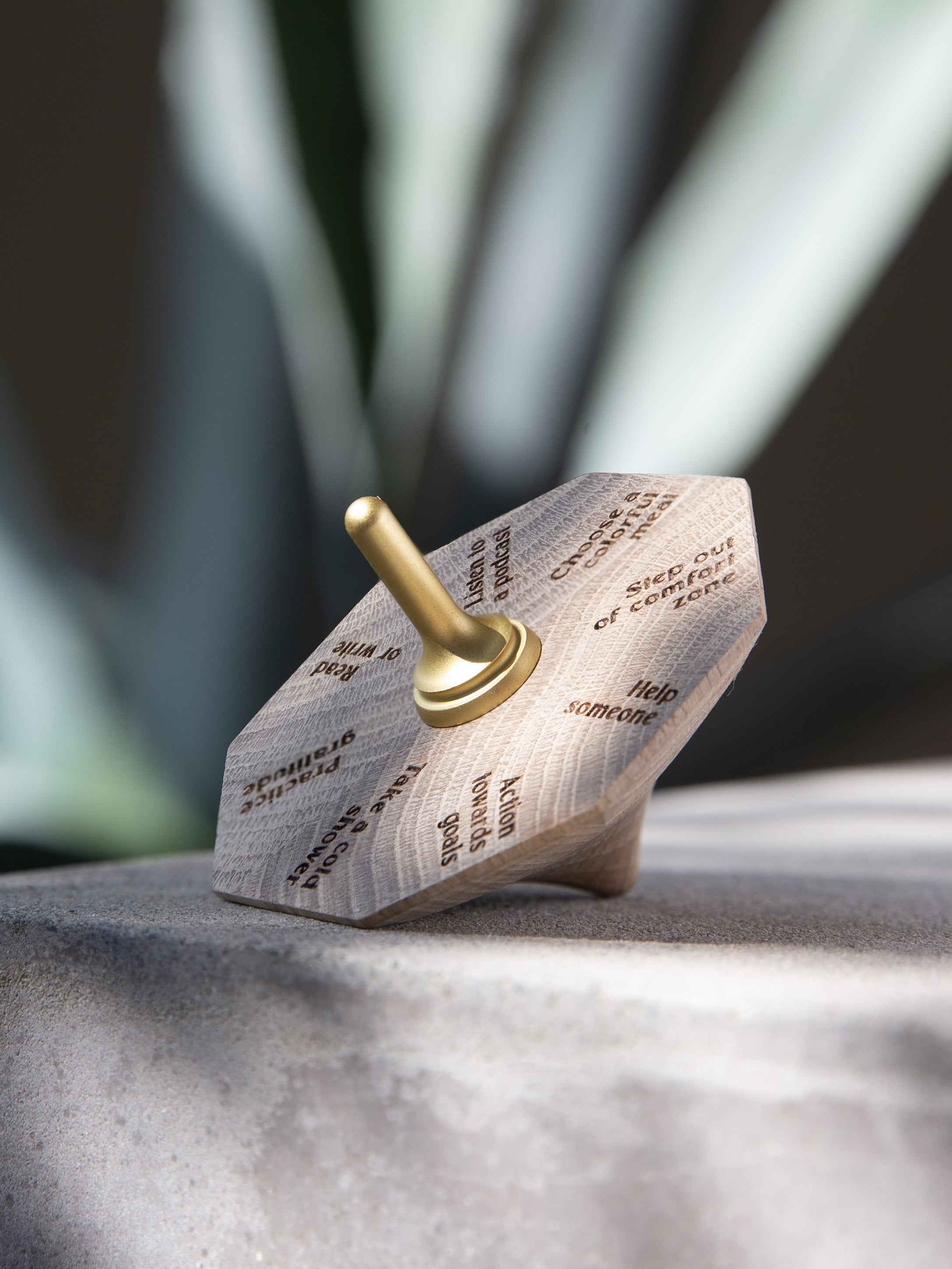 ChiCura Living, Art & Frames Spinning Top - The Soul Pleaser Living / The Mindful Heart Oak / Brass