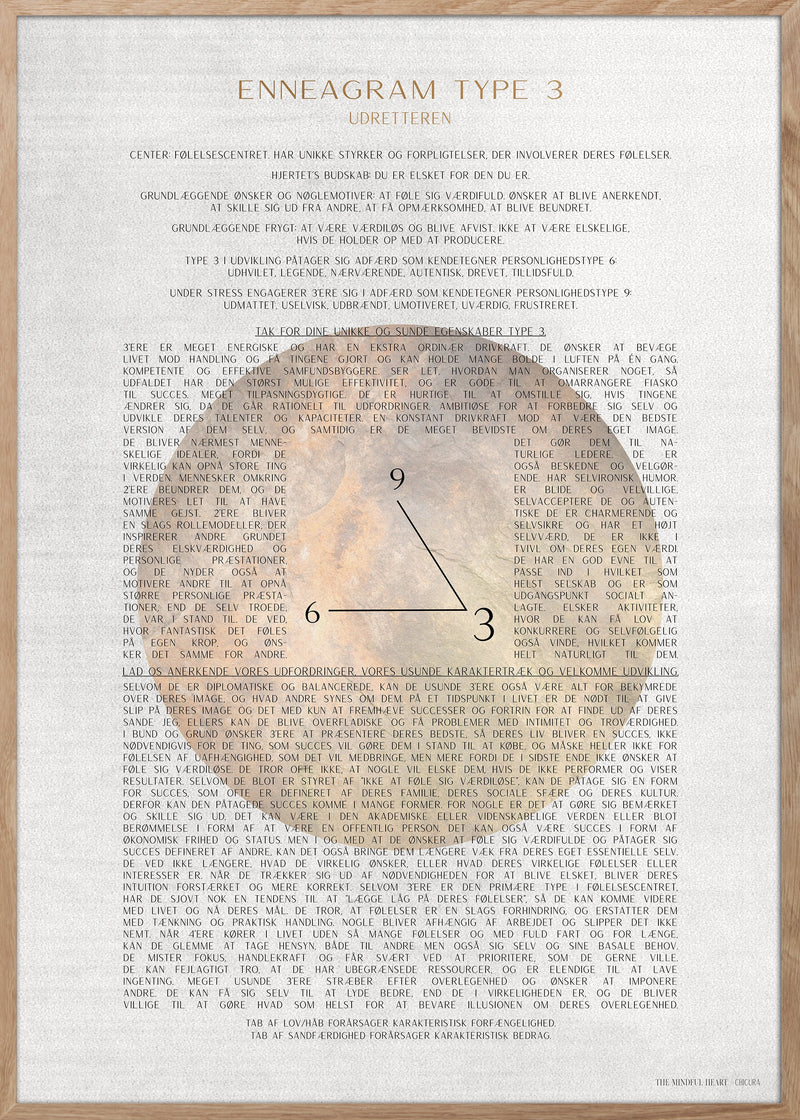 ENNEAGRAM TYPE 3