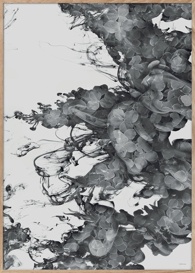 ChiCura Posters Floating Flowers - 50x70cm Posters / Flowers & Plants Multiple Color