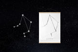 Gemini - The Twins - 50x70cm