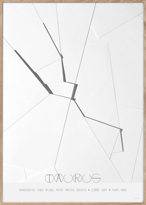 Taurus - The Bull - A3